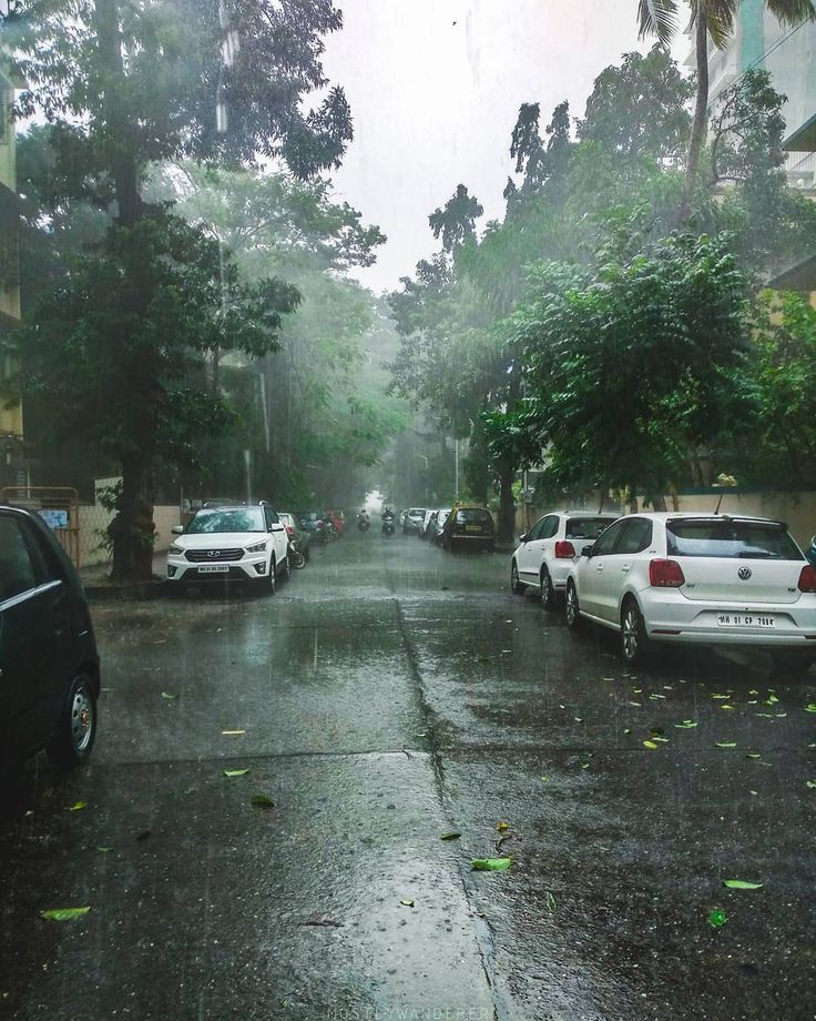 Durga Puja Monsoon