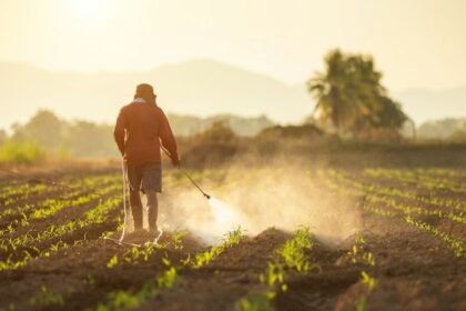 PM Kisan Yojana